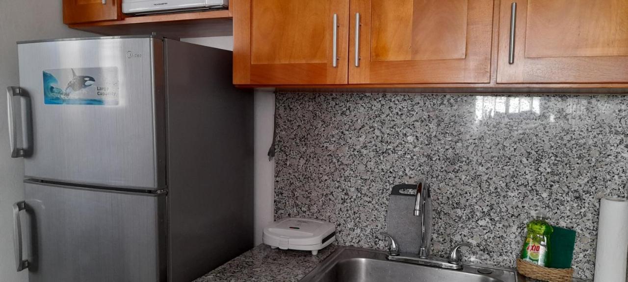 Residencial Palmas De Gurabo Apartment Santiago De Los Caballeros Ngoại thất bức ảnh