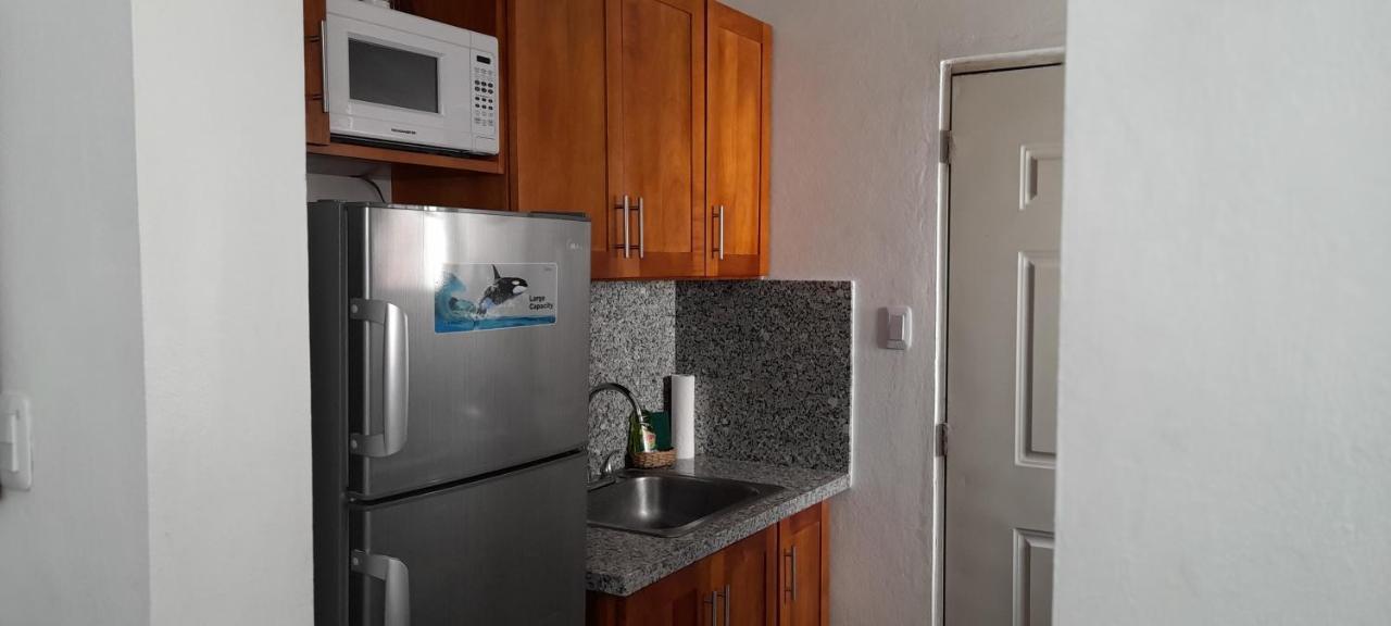 Residencial Palmas De Gurabo Apartment Santiago De Los Caballeros Ngoại thất bức ảnh